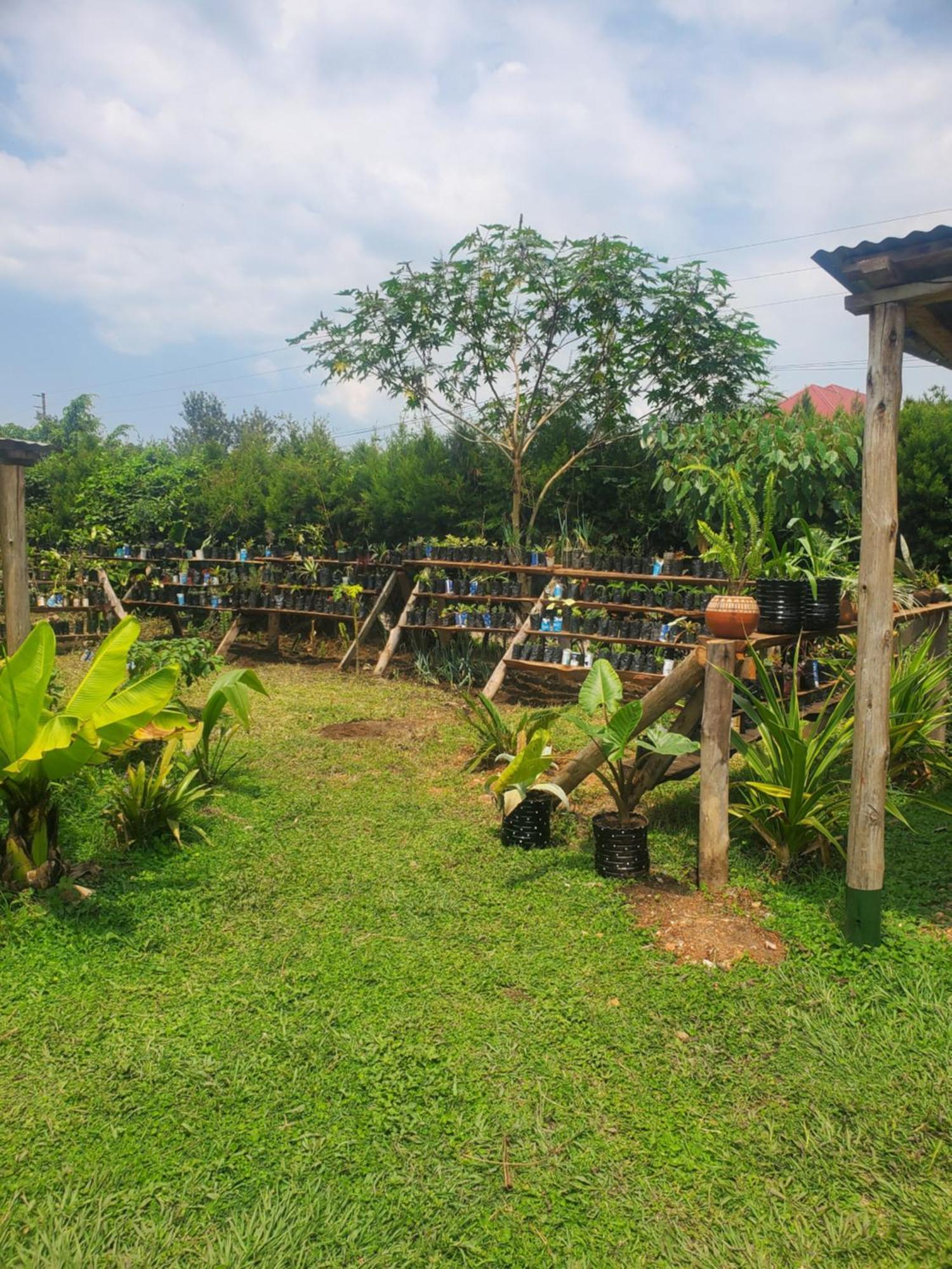 Gaia Eco Hub Bnb Fort Portal Luaran gambar