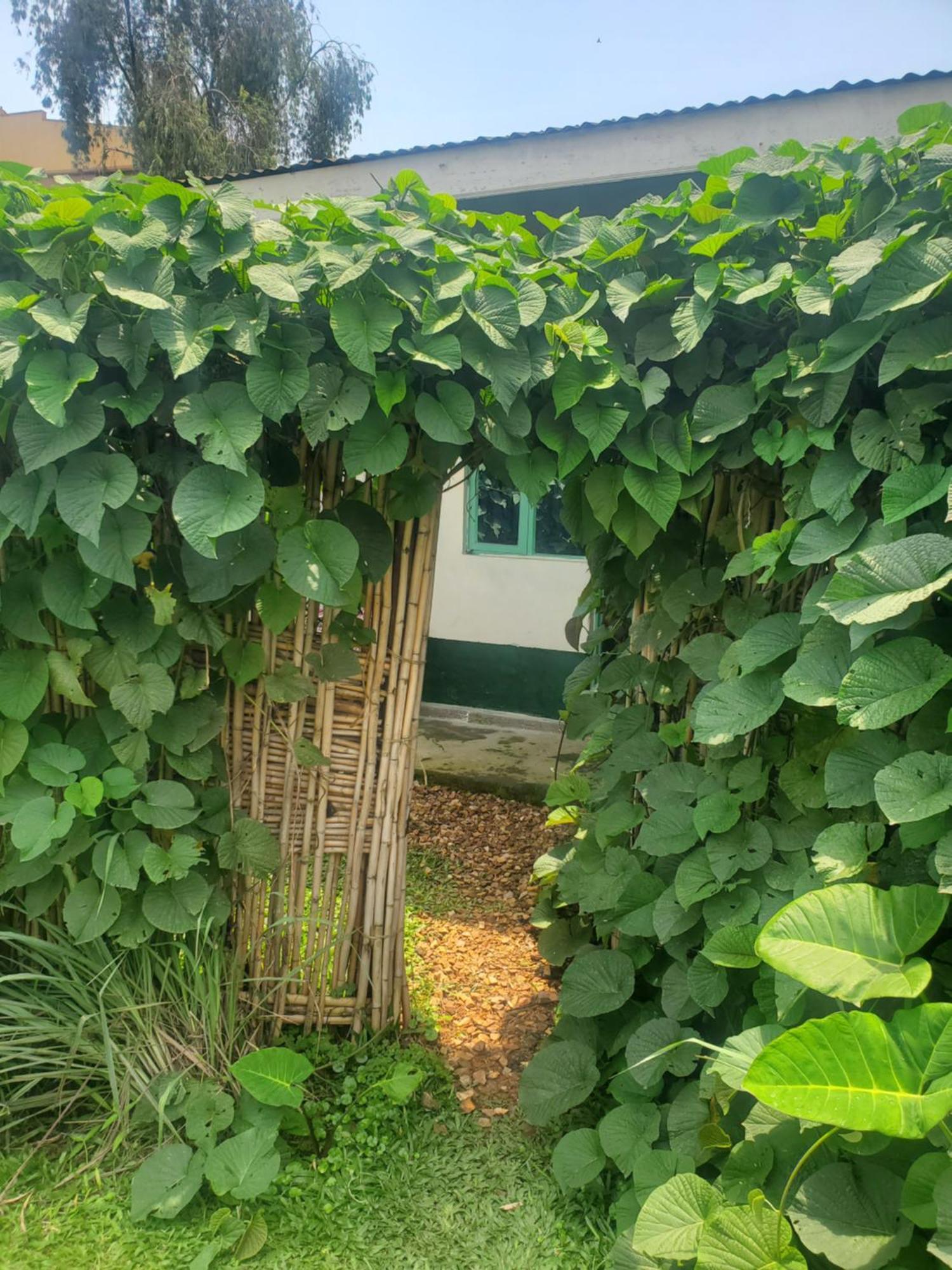 Gaia Eco Hub Bnb Fort Portal Luaran gambar