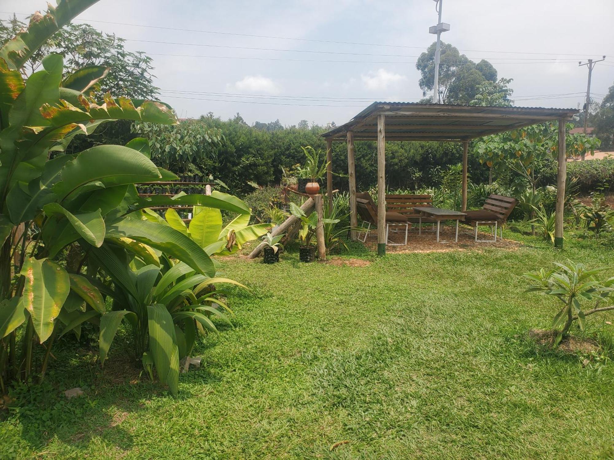 Gaia Eco Hub Bnb Fort Portal Luaran gambar