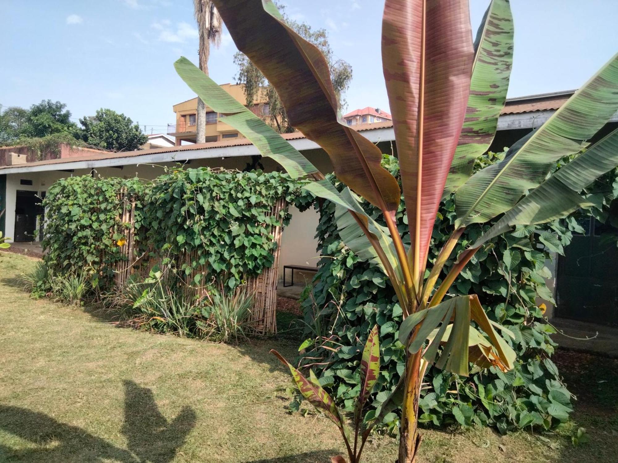 Gaia Eco Hub Bnb Fort Portal Luaran gambar