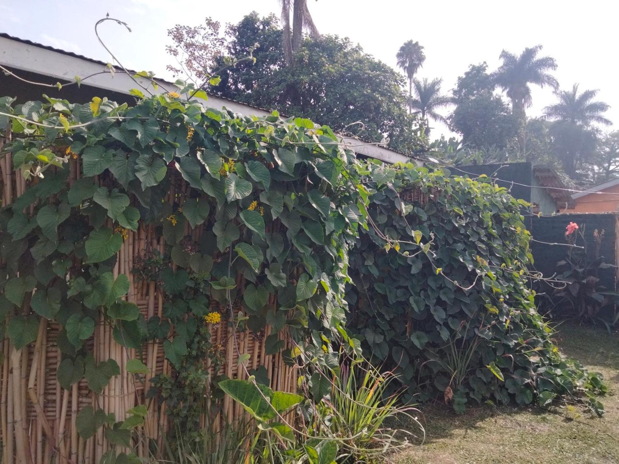 Gaia Eco Hub Bnb Fort Portal Luaran gambar